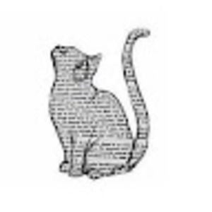 Meet your Posher, Isabel